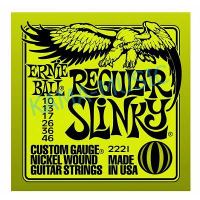 ERNIE BALL 2221
