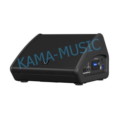 TURBOSOUND TFM122M-AN