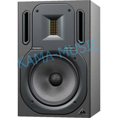 BEHRINGER B2030A