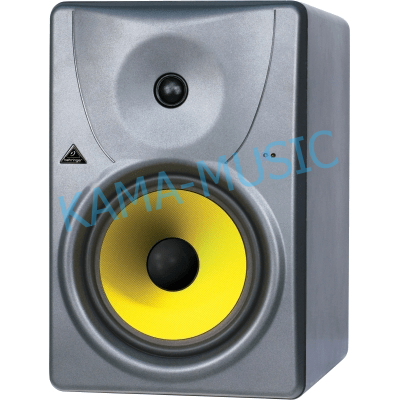 BEHRINGER B1031A
