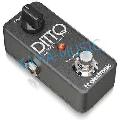 TC ELECTRONIC DITTO LOOPER