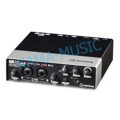 STEINBERG UR22MKII