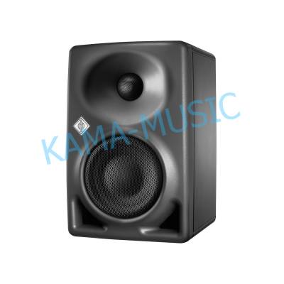 NEUMANN KH 80 DSP A G EU