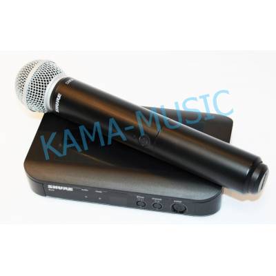 SHURE BLX24E/SM58 M17