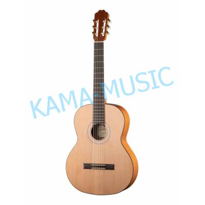 Kremona S65C Sofia Soloist Series