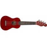 FENDER Ukulele