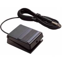 ROLAND DP-2