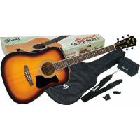 IBANEZ V50NJP VINTAGE SUNBURST