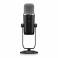 BEHRINGER BIGFOOT