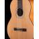 Kremona S65C Sofia Soloist Series