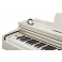 BECKER BDP-82W