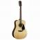 FENDER CD-60