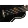 FENDER Ukulele