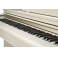 BECKER BDP-82W