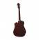 ARIA AWN-15CE N