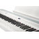 BECKER BSP-102W