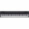 ROLAND GO-88P