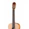 Kremona S65C Sofia Soloist Series